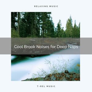 ! ! ! ! Cool Brook Noises for Deep Naps - Rivers and Streams