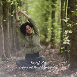 Forest Zen: Calming and Peaceful Concentration - Natures DNA