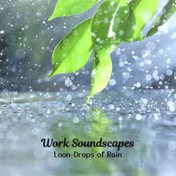 Work Soundscapes: Loon-Drops of Rain - Rainfall