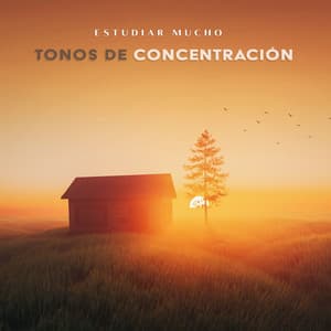 Tonos De Concentración - Estudiar Mucho