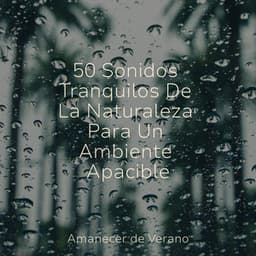50 Sonidos Tranquilos De La Naturaleza Para Un Ambiente Apacible - Canciones Para Niños