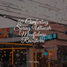 50 Comforting Spring Ultimate Mindfulness Rainstorm - Rain