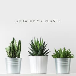 Grow up My Plants: Plant Care Routine, Soothing and Relaxing Sounds for Flowers, Jazz in the Background - Jazz Music Zone