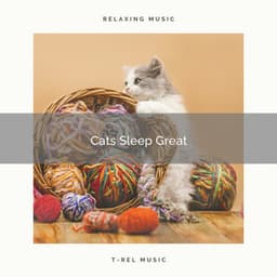 Cats Sleep Great - Biblioteca de Música Para Mascotas