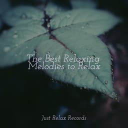 The Best Relaxing Melodies to Relax - Meditation
