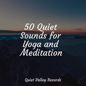 50 Quiet Sounds for Yoga and Meditation - Gentle Rain Makers
