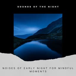 Noises of Early Night for Mindful Moments - Sounds of the Night