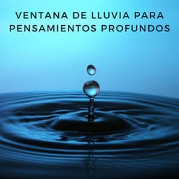 Ventana De Lluvia Para Pensamientos Profundos - Lluvia París