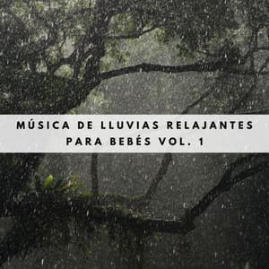 Música De Lluvias Relajantes Para Bebés Vol. 1 - Sonidos De Lluvia