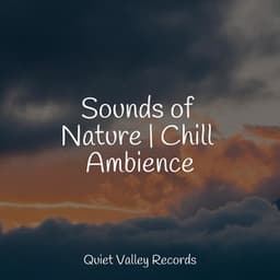 Sounds of Nature | Chill Ambience - Oasis de Détente et Relaxation