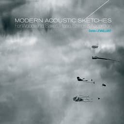 Modern Acoustic Sketches - Denis Levaillant