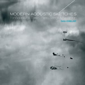 Modern Acoustic Sketches - Denis Levaillant