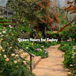 Green Hours for Today - Jazz Playlist Cafe