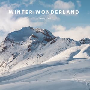 Winter Wonderland Sleep Aid - Natural Sounds Selections