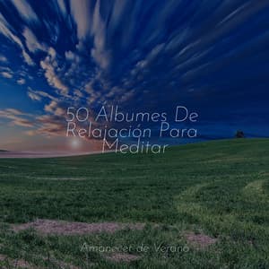 50 Álbumes De Relajación Para Meditar - Meditación
