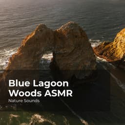 Blue Lagoon Woods ASMR - Nature Sounds