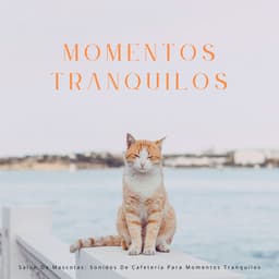 Salón De Mascotas: Sonidos De Cafetería Para Momentos Tranquilos - Café ChillHop