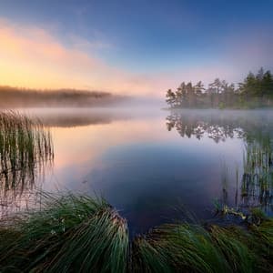 Orchestra Of Celestial Beauty: Heavenly Melodies For Tranquility And Reflection - Lee Rosangela