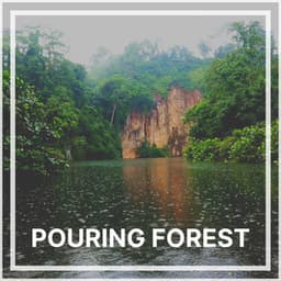 Pouring Forest - Relaxing Rain Sounds