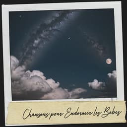 Chansons pour Endormir les Bébés : Rêves de Berceau - Dog Relaxation