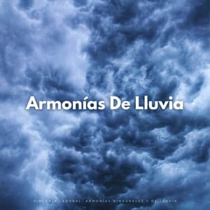 Sinfonía Laboral: Armonías Binaurales De Lluvia - Ritmos binaurales Música de trabajo