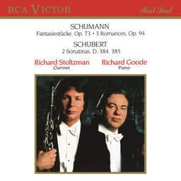 Stoltzman Plays Schumann & Schubert - Richard Stoltzman