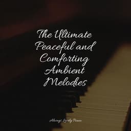 50 Relaxing Piano Melodies for Everyone - Chakra Balancing Sound Therapy