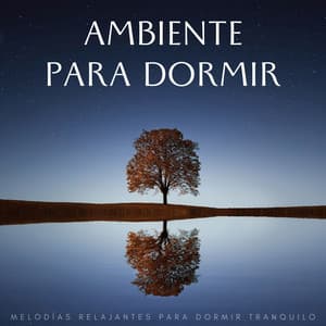 Ambiente Para Dormir: Melodías Relajantes Para Dormir Tranquilo - Canticuenticos