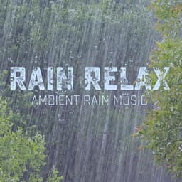 Ambient Rain Music - Rain relax