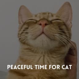Peaceful Time For Cat - Music for Work Beats
