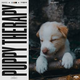 Puppy Therapy - Puppy Music
