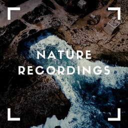 Outdoor Sounds for Mixing Sleep - Natural Sample Makers