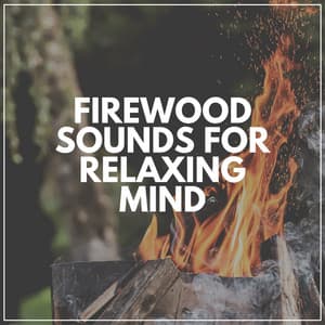 Firewood Sounds for Relaxing Mind - Fire Sounds Sleep