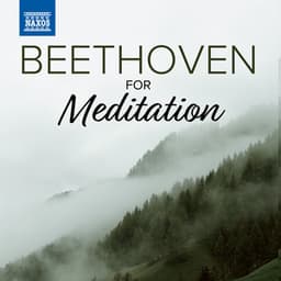 Beethoven For Meditation - Ludwig van Beethoven