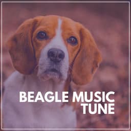 Beagle Music Tune - Puppy Music