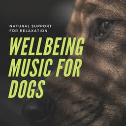 Wellbeing Music for Dogs - Natural Support for Relaxation - Pet Music World