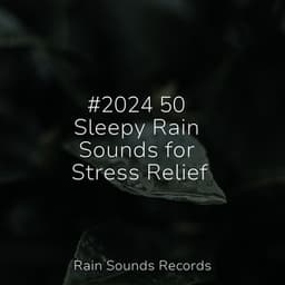 #2024 50 Sleepy Rain Sounds for Stress Relief - Sons da natureza HD
