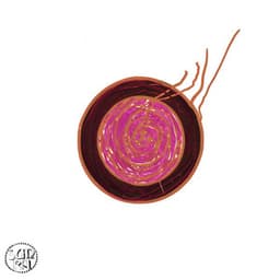 Sleeping Beauty - Sun Ra