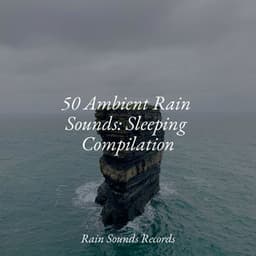 50 Ambient Rain Sounds: Sleeping Compilation - Ocean Waves For Sleep