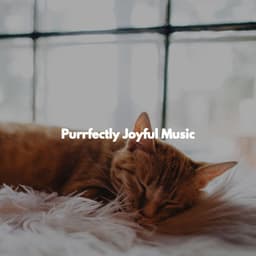 Purrfectly Joyful Music - Weekend Jazz Chillout