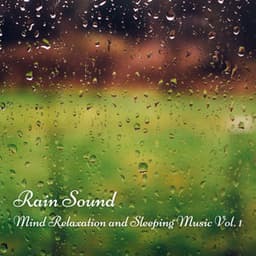 Rain Sound: Mind Relaxation and Sleeping Music Vol. 1 - Sleep Music Guys