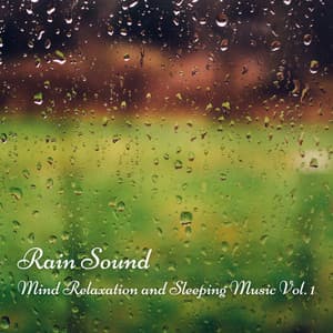 Rain Sound: Mind Relaxation and Sleeping Music Vol. 1 - Sleep Music Guys