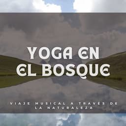 Yoga En El Bosque: Viaje Musical A Través De La Naturaleza - Sonidos relajantes de la selva tropical