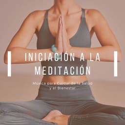Iniciación a la Meditación: Música para Cuidar de la Salud y el Bienestar - Serenidad y Armonía