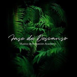 Fase de Descanso - Musica de Relajación Academy