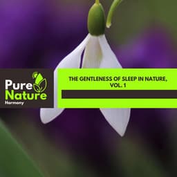 The Gentleness of Sleep in Nature, Vol. 1 - Nature Field Recordings