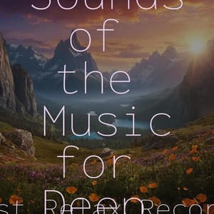 50 Rolling Sounds of the Music for Deep Sleep - Spa Relaxation & Spa