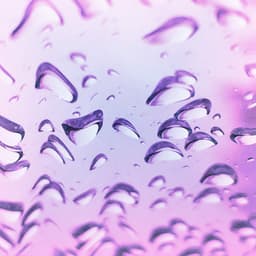 Calm - Zen Meditation Garden