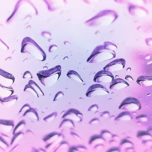 Calm - Zen Meditation Garden