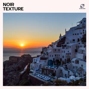 Noir Texture - Ibiza House Classics
